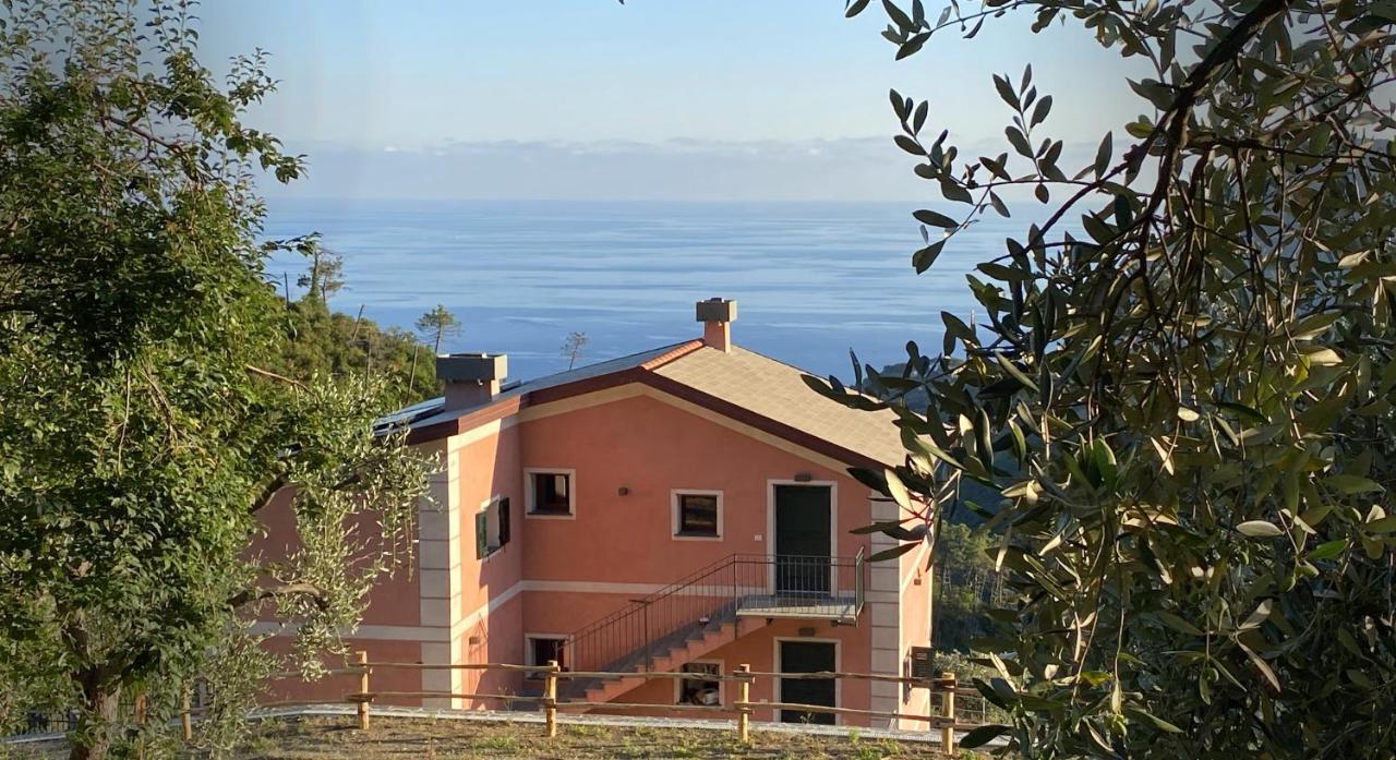 Agriturismo Missanega Monterosso al Mare Dış mekan fotoğraf
